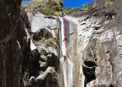 CanyonFleurJaune - 5.webp